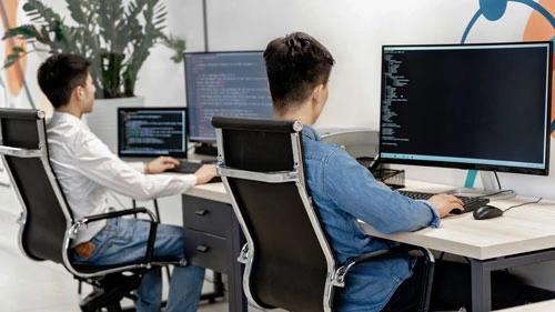 Two developers writing code on their office computers
